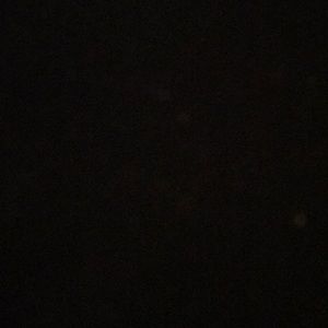 Meet your Posher, Coral